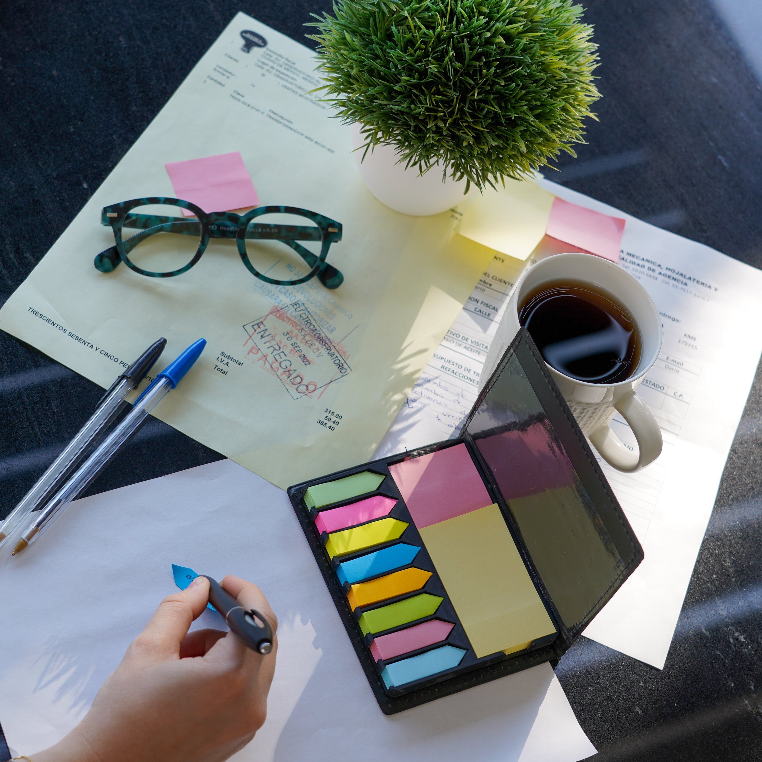 Estuche Con Notas Y Banderas Adhesivas siendo usado para tomar notas al aire libre